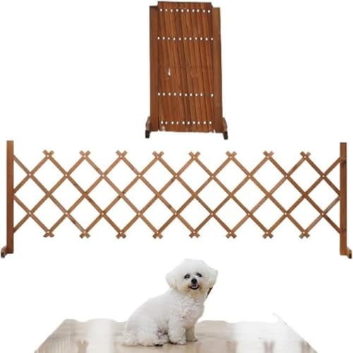 Queeningetxr[Q[guybgQ[gybgtFXؐLk (100 cm210 cm܂ŉ\) [sAi]