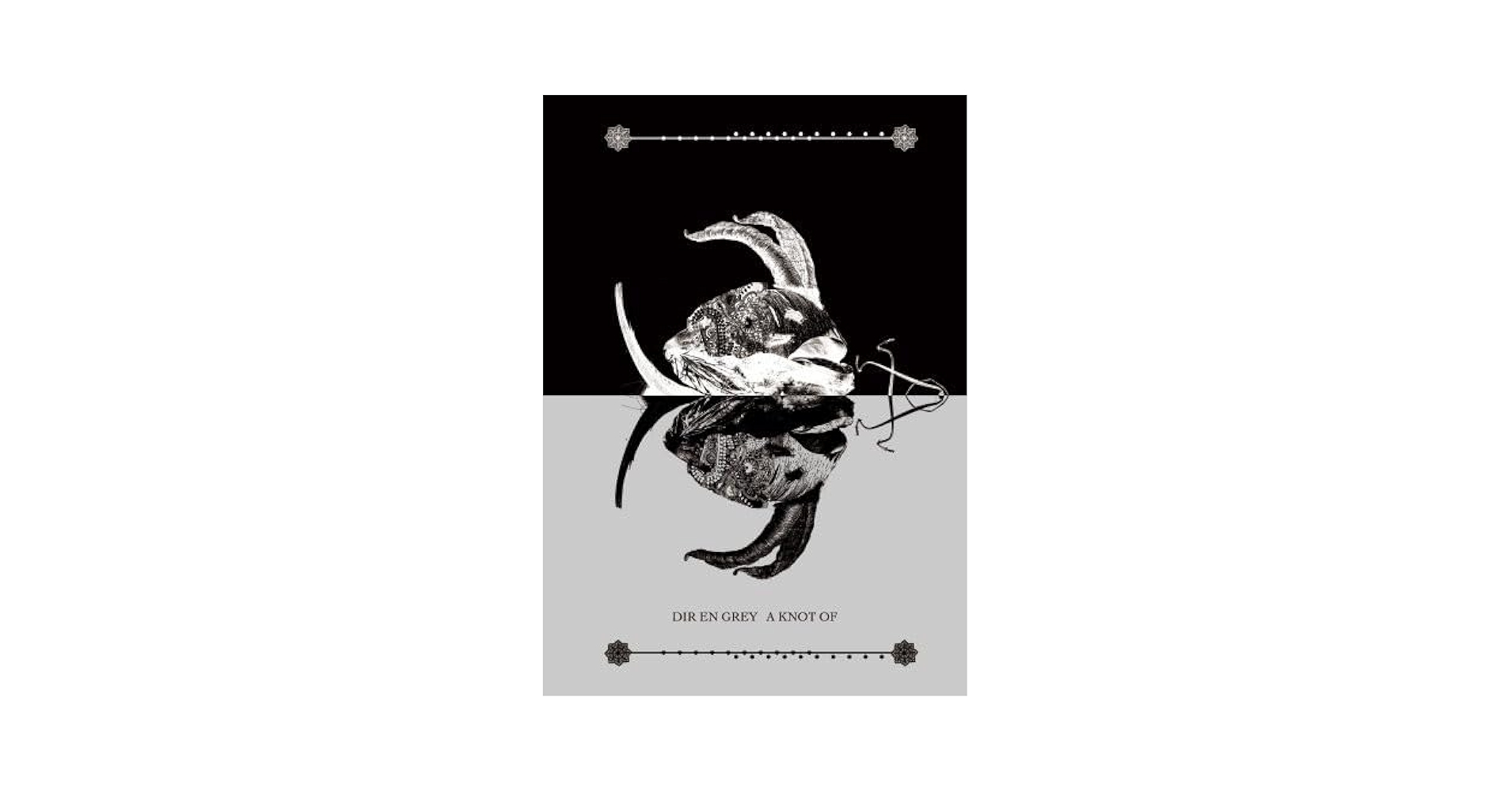 DIR EN GREY DVD　Knot限　未開封 IN WEAL OR WOE DIR EN GREY DVD Knot限 未開封 IN WEAL OR WOE Amazon.com
