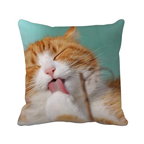 Housse de coussin carrée à rayures pour dynamiser un canapé terne - 2