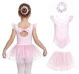 JiAmy Leotardo de ballet para niñas, manga con volantes, traje de ballet con falda, disfraces de baile, vestido de bailarina brillante para 3-10 años, rosa, 3-4 años