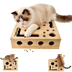 Katzen Krallenpflege Spielzeug, 30*25CM Kratzpuzzle Spielbox Holz Katzen, Interaktives Katzenspielzeug Spielzeug, Katzenspielzeug Kratzen Krallenpflege Boxs, Kratzbrett Für Scharfe Katzenkrallen