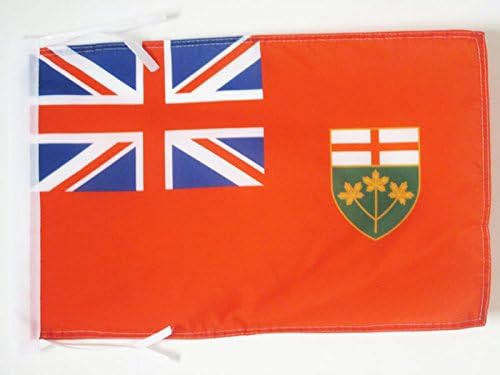 AZ FLAG, Ontario Flag, 18'' x 12'', 100% Polyester Canada, Canadian region of Ontario Small Banner with Two Cords