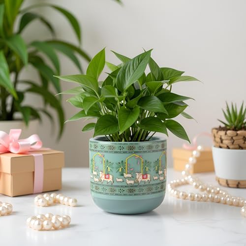 Image of Terracotta Planter - Premium Glass Coated Planters for Home Decor | Artistic Flower Pots for Garden & Indoor | Table Top Decor (Mint, M)
