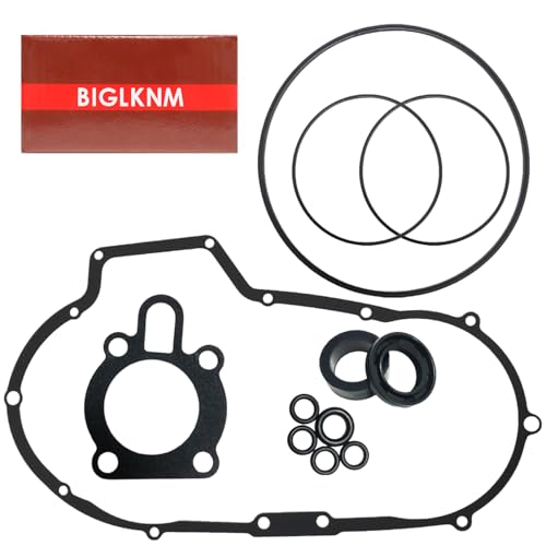 BIGLKNM Gasket Seal Kit for Harley Sportster XL1200C, XL883