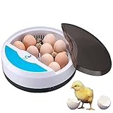 incubadora aves mexico ★ 𝗖𝗢𝗡𝗧𝗥𝗢𝗟 𝗔𝗨𝗧𝗢𝗠𝗔𝗧𝗜𝗖𝗢 𝗗𝗘 𝗛𝗨𝗠𝗘𝗗𝗔𝗗 – La forma circular de la incubadora garantiza una magnífica homogenización de la humedad y la temperatura del entorno, evitando en todo momento que el exceso de agua afecte la eclosión de los huevos. Flujo de aire asistido por ventilador de bajo ruido que garantiza su correcta circulación. La incubadora se consicdera automática por el control de humedad y temperatura, sin embargo no tiene volteo automático de huevos.