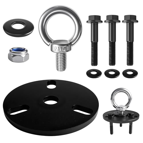 STILEALUS Outboard Engine Lifter Ring Tool with Adapter and Ring Fits for Evinrude Johnson BRP ETEC Outboard Motor - Best Engine lifting ring tool