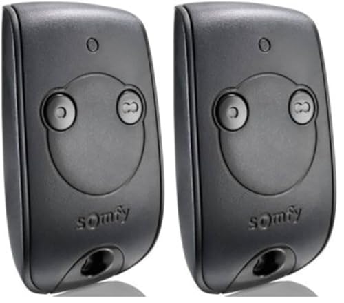 Somfy 1841026 - Télécommande Keytis RTS 2 canaux | pour contrôler 2 Moteurs RTS de portails et Portes de Garage (Lot de 2)