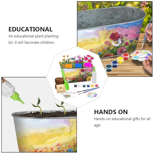 Angoily Kit de Cultivo de Plantas, Kit de Jardinería Artesanal Maceta de Hierro, Herramientas Seguras para Plantar y Pintar, Adecuado para Manualidades y Educación Ambiental - imagen 4
