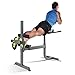 CAP Strength Roman Chair, Gray