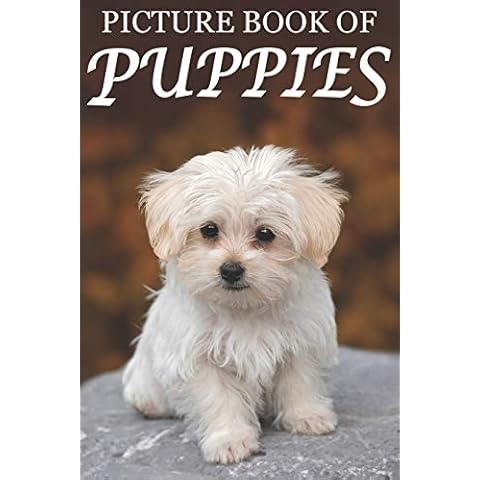 Picture Book of Puppies: Picture Book of Puppies: For Seniors with Dementia [Cute Picture Books] (Picture Books of Animals for People with Dimentia) Cover