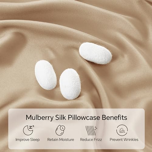 Image of INFIIXSO Silk Pillow Cases 2 Pack Standard Size, Ultra Smooth & Soft Mulberry Silk Pillow Case for Hair and Skin, Breathable Cooling Silk Pillowcase with Hidden Zipper (Champagne, 20x26 Inches)