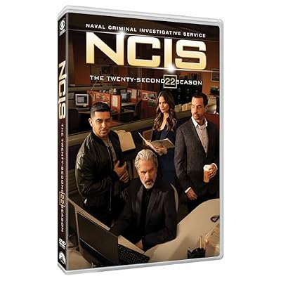 NCIS: Naval Criminal Investigative Service: The Twenty-Second Season