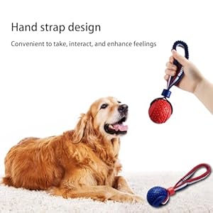 Pet ball dog toy ball toy dog ball with rope pet interactive toy rope dog ball toy throwing toy ball small and medium sized dogs tough rope durable dog ball tpr rubber ball ltq   cucciolini doodles