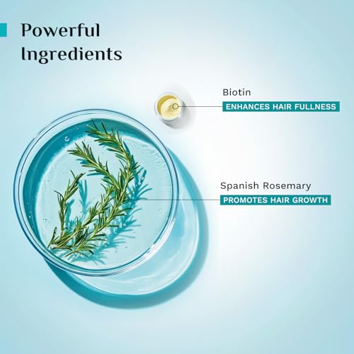Image of Pilgrim Spanish Rosemary & Biotin HairGrowth Oil to Control Hair Fall & Strengthens Hair 100ml (Pack of 2) | Rosemary essential oil for hairgrowth | Reduces Hairfall | Strengthens Hair I For Women and Men