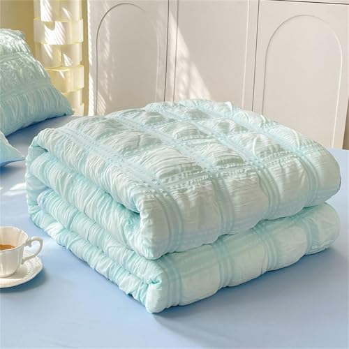 Highdi Estilo Japonés de Color Sólido Colcha de Verano, Colcha para Verano Reversible Ligera y Suave Microfibra Cubre Cama Fina, Colchas Cama Individuales Dobles King (Azul Claro,180x200cm)