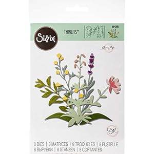 Sizzix Thinlits Die Set 8 Pack Spring Stems by Olivia Rose Multicolor