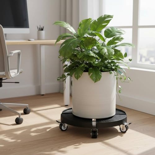Support rond à roulettes réglable blanc Qianly pour pot de fleur et jardin