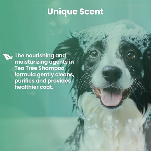 Bio PetActive Tea Tree Oil Dogs Shampoo - Natural Moisturizing & Anti Itch Dog Shampoo, pH Balanced, Paraben Free, Naturally Ingredients, 13.53 Fl oz