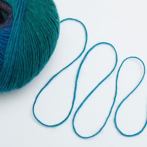 Image of NICEEC 2 Skeins Rainbow Soft Yarn 100% Wool Gradient Multi Color Yarn for Crocheting Knit Total Length 180mx2(196ydsx2,50gx2)-8#