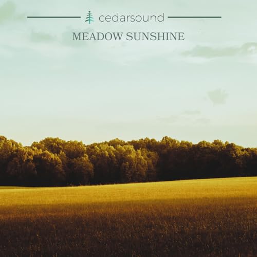 Cedarsound