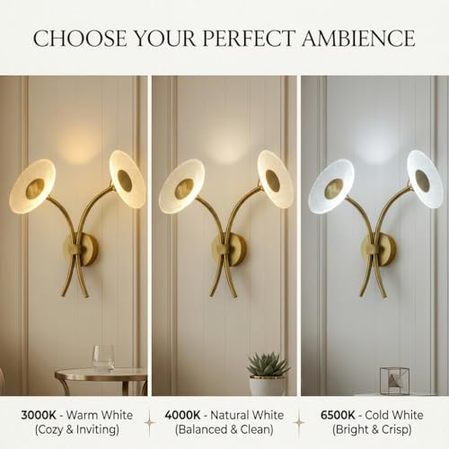 Image of Wall Light 3-Color CCT (Warm + Natural + Cold White) LED Double Arm Gold Metal Glass Disc Wall Lamp for Living Room Bedroom