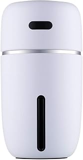 SOWUDM Humidificateur d'air USB Mignon humidificateur d'air Multifonctions Accueil Voiture Bureau Humidificateur 200ML Mini Humidificateur (Color : White)