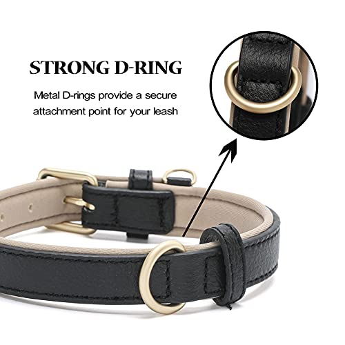 Collar de cuero para perro tamaño pequeño impermeable y acolchado miniatura 5