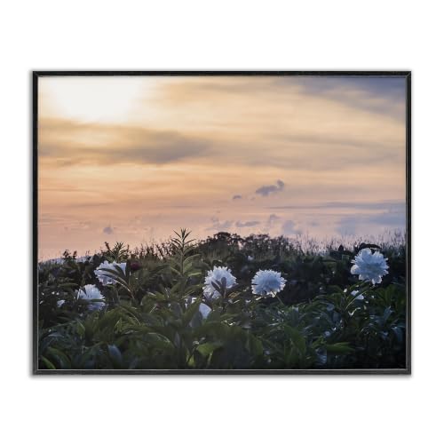 'Wildflower Blossoms Sunset Sky'| Framed Giclee Art