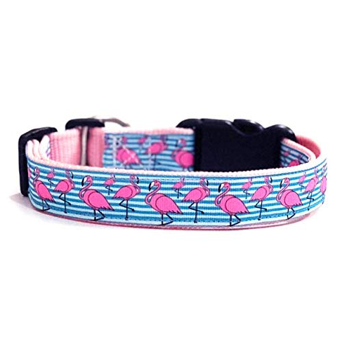 That Dog In Tuxedo Dancing Flamingoes Dog Adjustable Collar (Size S) (B07NKKZ9SD) Amazon Price History, Amazon Price Tracker