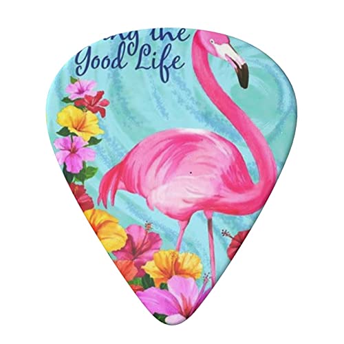 Flamingo Flowers Lot de 6 médiators pour guitare acoustique, guitare électrique, basse, ukulélé – fins, moyens et épais. - Les Beatles, Paul McCartney, John Lennon, RIngo Starr, George Harrison Flamingo Flowers Lot de 6 médiators pour guitare acoustique, guitare électrique, basse, ukulélé – fins, moyens et épais. – Image 4
