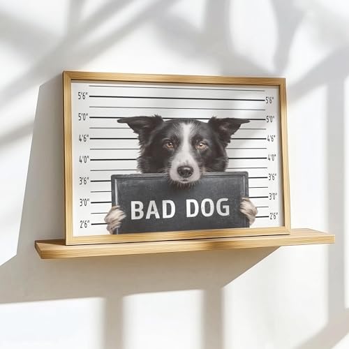 Image of aj decor Border Collie Mugshot Wall Art Print Poster, Dog Pet Lover Picture Painting Artwork Bedroom Living Room Office Dining Room 150D (Border Collie Mugshot, 11 inch W x 14 inch L, Wood Frame)