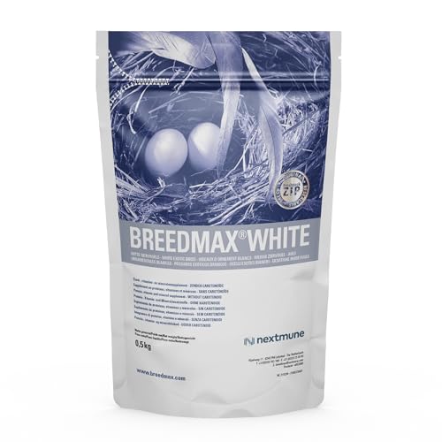 Breedmax White Vogelfutter-Ergänzung für Zuchtvögel – Fruchtbarkeits- & Eifutterzusatz für Papageien, Kanarienvögel, Finken, Wellensittiche – Eiweißreich, Vitamine, Aminosäuren – 500g