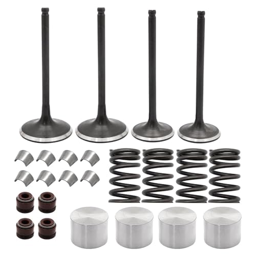 Mabutingti Kit de válvulas de admisión y escape para Suzuki Quadsport 400 Z400 LTZ-400 2003-2014