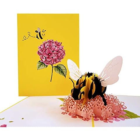 iGifts And Cards Happy Floral Bee 3D Pop Up Greeting Card - Thinking of You, Happy Birthday, Mother's Day, Get Well Soon, Miss You, Congratulations, Love, Cute, Fun Cover