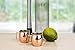 Decodyne Moscow Mule Shot Glasses - 2-ounce (Set of 4)