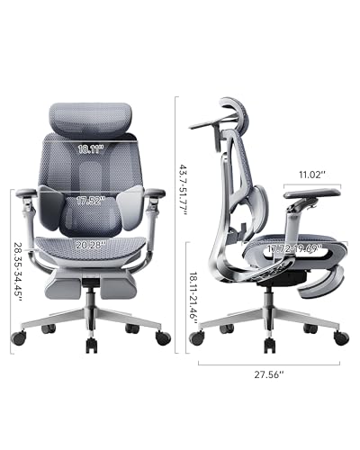 ergo chair