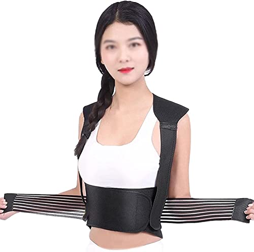 p ŃT|[g ȔMxXg 62 Cg} wT|[gxg u[XZs[    w p XL,L