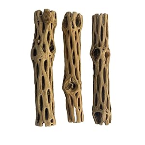 Awesome Aquatic Natural Cholla/Choya Wood 3 Pieces 6” for Shrimp Habitat and Food Treat Hermit Crabs Plecos Aquarium Decoration Lowers pH Hideouts and Chew Toys Reptiles Thorn Free Dried Organic