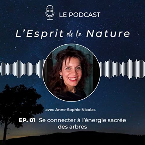 #01 Se connecter &agrave; l'&eacute;nergie sacr&eacute;e des arbres copertina