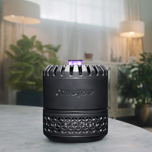 DynaTrap DT152 Indoor Insect Trap and Killer – Catches and Kills Fruit Flies, Gnats, Moths, Mosquitoes & Other Flying Insects + DynaTrap 21523 Replacement StickyTech Glue Boards