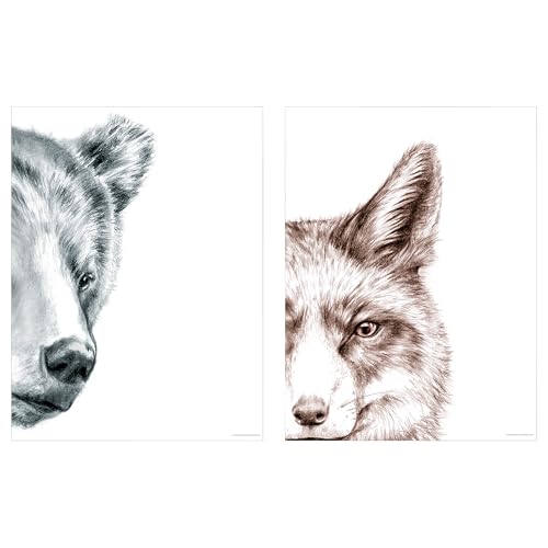 ProTuning BILD Poster, bear and fox, 30x40 cm