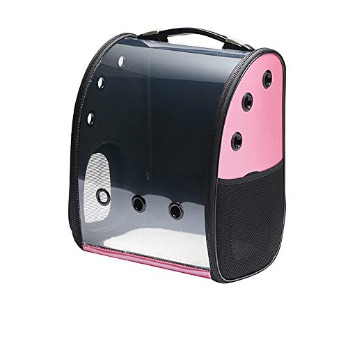 KJOET FDJvZ obO ybgpL[obO SJo[ʋC 360°όLp lR  bN^lR jR  lCybg e (sN)