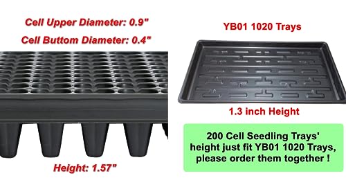 Variant 3