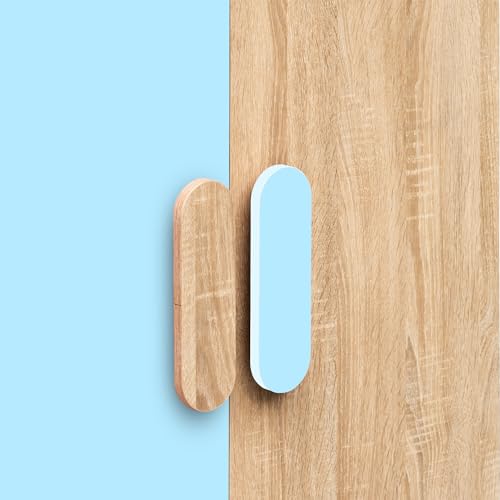 Image of Alex Daisy Romania Kids 2 Door Wardrobe for 3-12 Years| Non-Toxic Safe Material | Soft Coated Premium Finish | Engineered Wood Kids Bedroom Storage Cupboard (Blue, Medium)