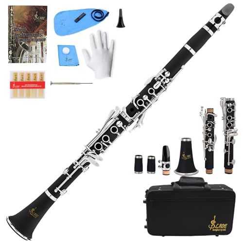 Clarinet Concerto In A Major (I. Allegro