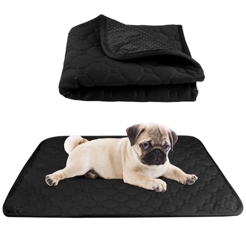 Traversine Lavabili per Cani, 60X45CM Tappetino per Addestramento Riutilizzabile, Tappeti Assorbenti Riutilizzabili, Traversina Lavabile Cane, Antiscivolo, per Cani, Gatti, Porcellini d'India