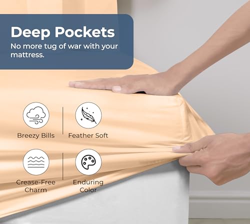 Image of Royale Linens 100% Organic Cotton Fitted Sheet - Percale Weave - Super Soft Deep Pocket Bottom Sheets - Elastic Sheet Twin XL Size - Twin XL Fitted Sheets Only - (39 inchx80 inch+15 inch, Sand)