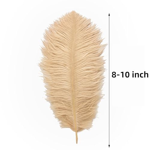 image for Ballinger Large Champagne Ostrich Feathers - 24pcs 8-10inch Boho Feath