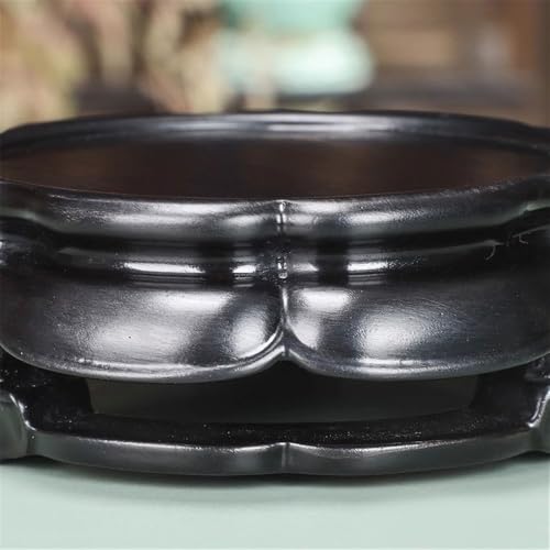 Base de bonsaï et théière pour une décoration de salon zen - 4