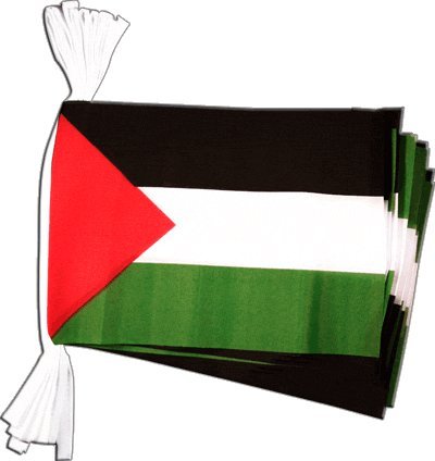Guirlande drapeau Palestine de 5,9 m avec pavillons palestiniens Digni